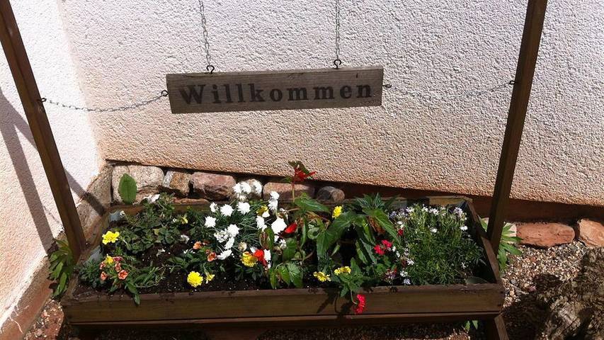 Ferienhaus für 4 Personen, mit Garten in Thale - 4