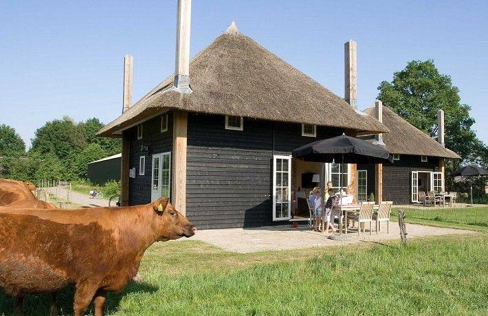 Ferienhaus für 5 Personen, mit Terrasse und Sauna in Wierden