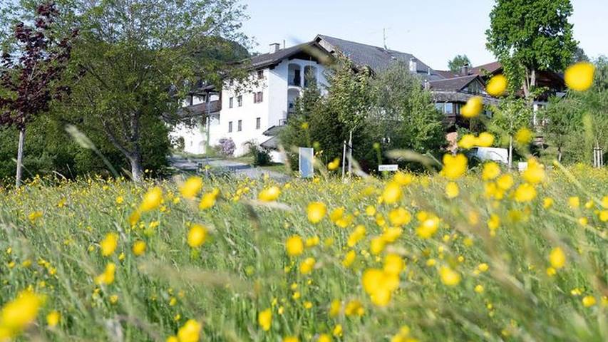 Ferienwohnung für 2 Personen, mit Garten in Steinbach am Attersee - 2