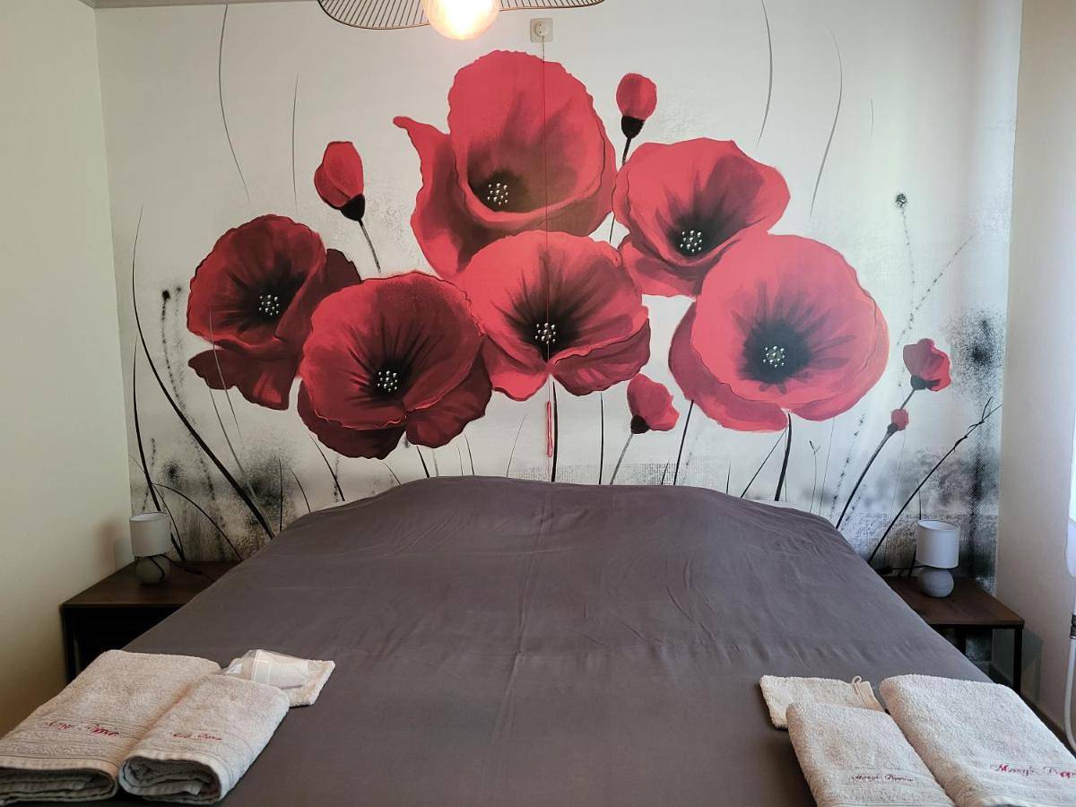 Mary's Poppies - Gîte au calme in Tournai, Hainaut