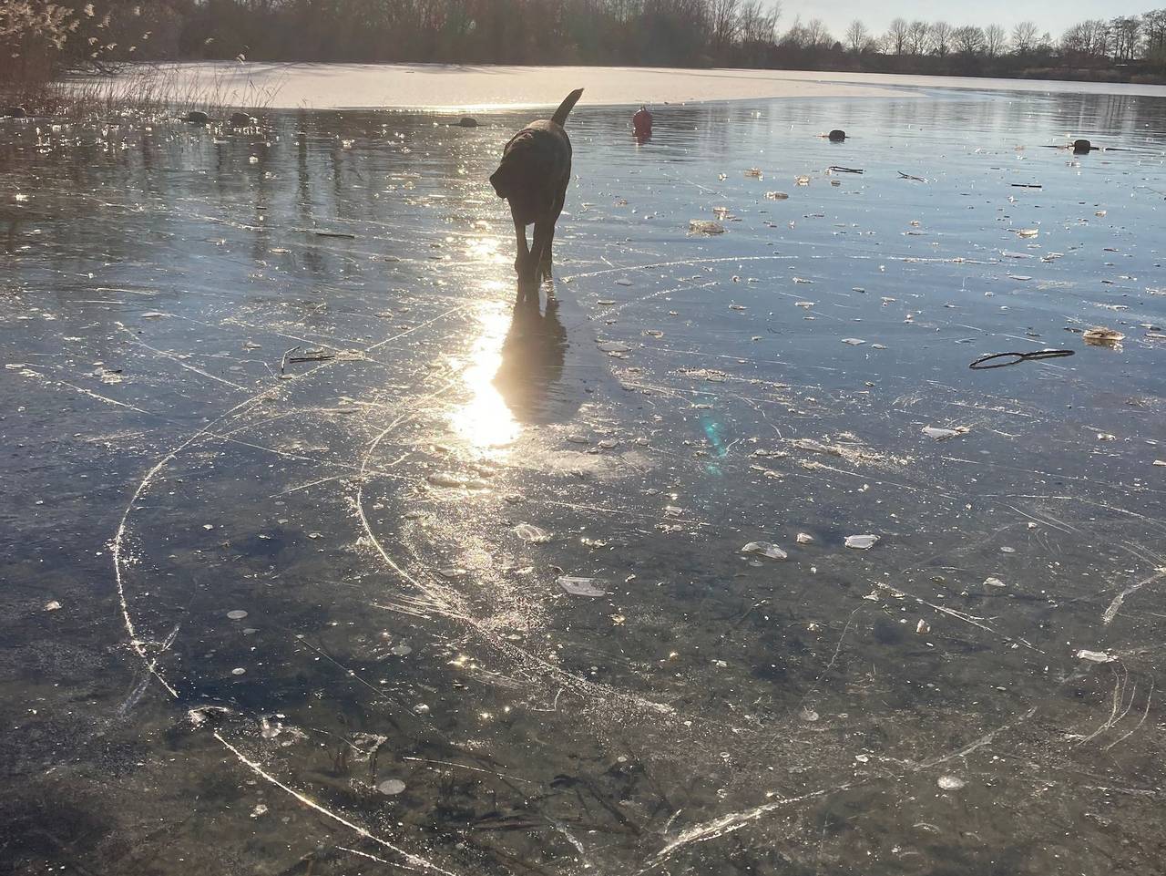Ganze Ferienwohnung, Fewo Utkiek in Großheide, Norden und Umgebung