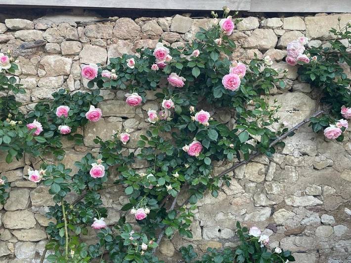 Location de vacances pour 4 personnes, avec jardin et terrasse dans Tuffalun - 2