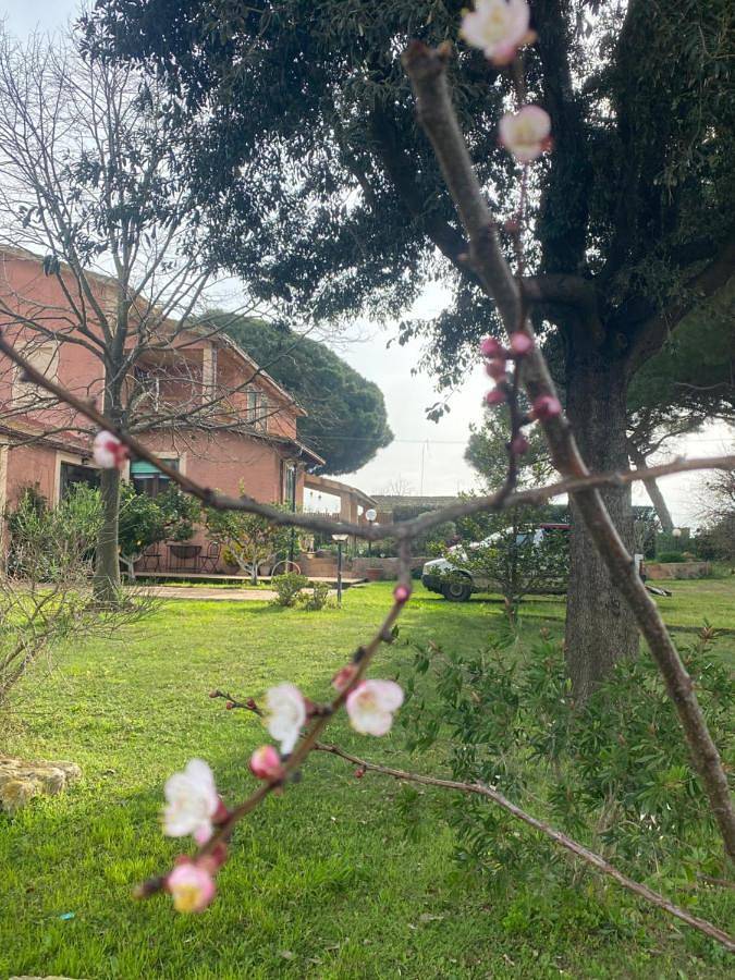 Bed and breakfast per 3 persone, con panorama e giardino, con animali domestici - 1