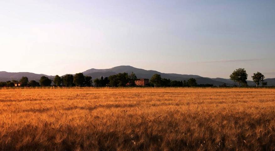 Agriturismo per 5 persone, con panorama e giardino in Piombino