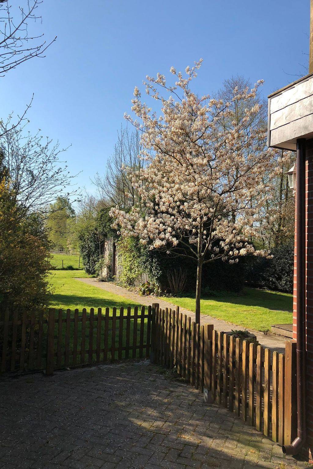 Haus am Reithmoor in Großefehn, Nordseeküste