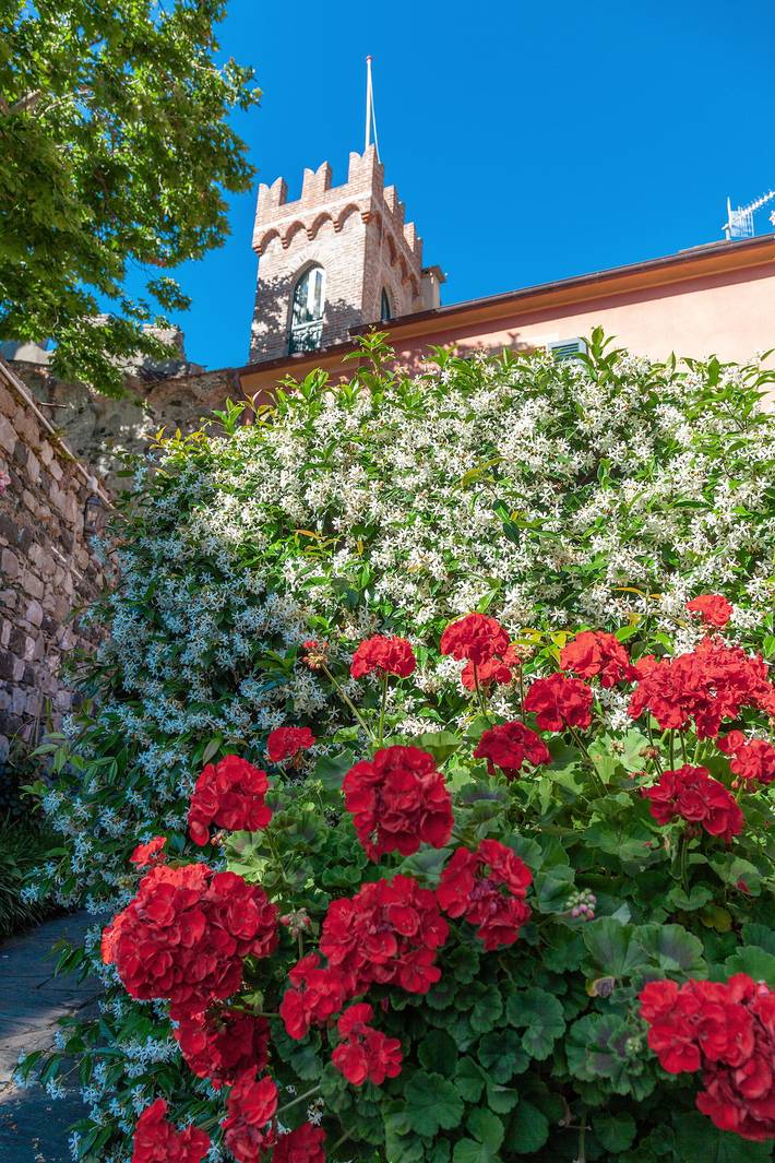 Gîte pour 3 personnes, avec jardin dans Levanto - 3