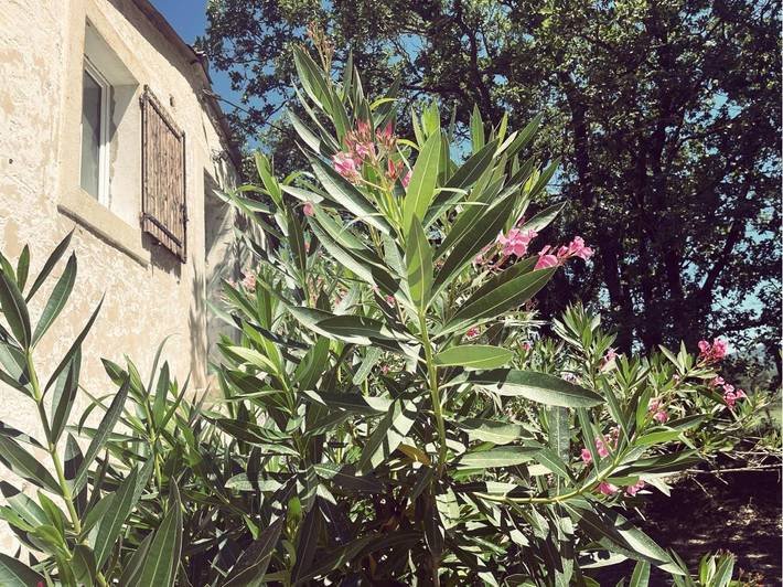 Gîte pour 2 personnes, avec jardin et vue, animaux acceptés à L'Isle-sur-la-Sorgue - 3