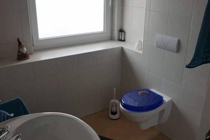 Ferienhaus für 8 Personen, mit Terrasse und Garten, mit Haustier in Nationalpark Schwarzwald - 4