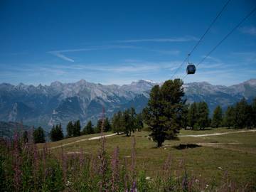 Vakantiewoning voor 6 Personen in Veysonnaz, 4 Vallées, Afbeelding 1