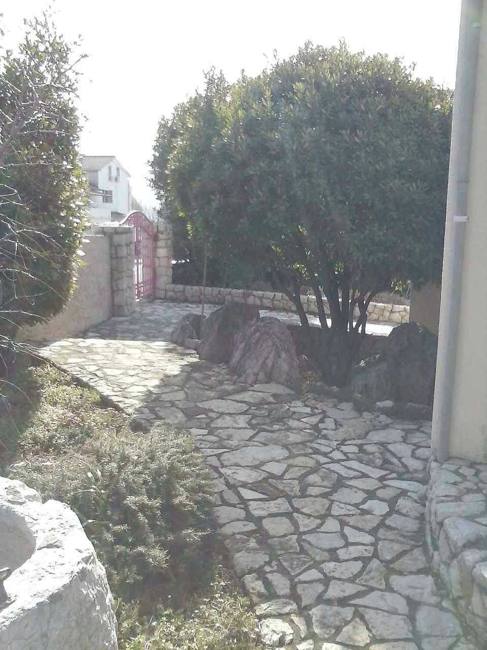 Ganze Wohnung, 1-Zimmer-Ferienwohnung mit Terrasse Cres A-12609-b in Cres Stadt, Cres