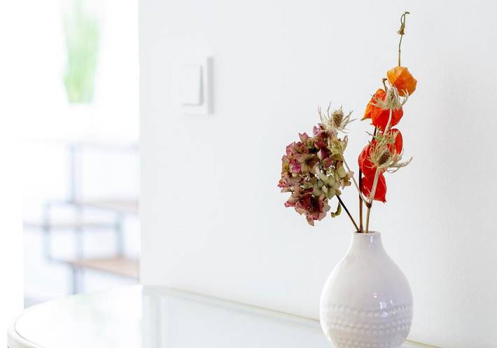 Gîte pour 6 personnes, avec vue et jardin, animaux acceptés à Darmstadt - 2