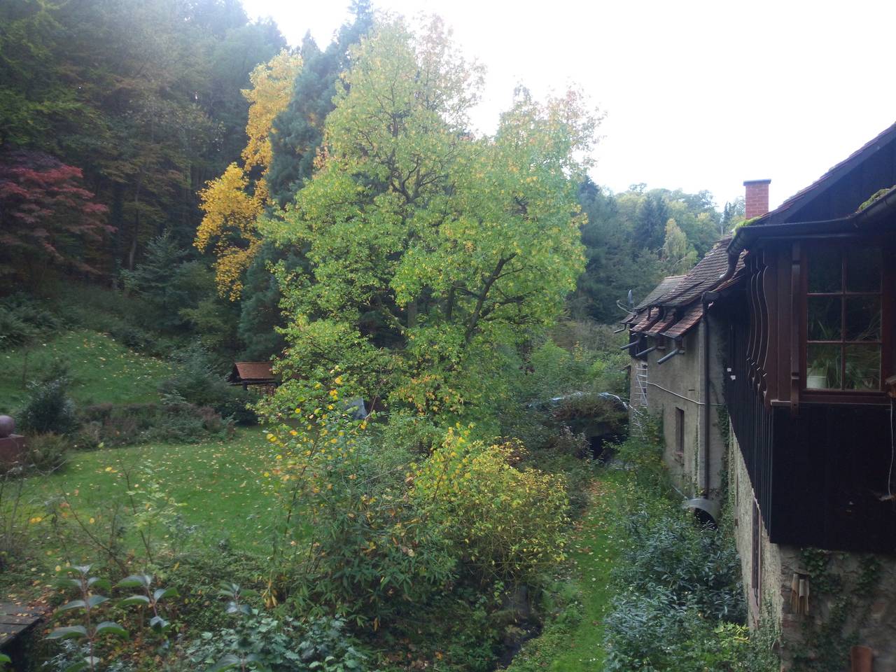 Appartement de vacances entier, Bachgeflüster - 3 Zimmer am Heiligenberg im Natura 2000 Gebiet in Seeheim-Jugenheim, Hesse du Sud