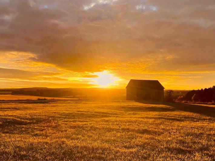 Ferienhaus für 4 Personen, mit Terrasse und Garten, mit Haustier in Schwaben - 4