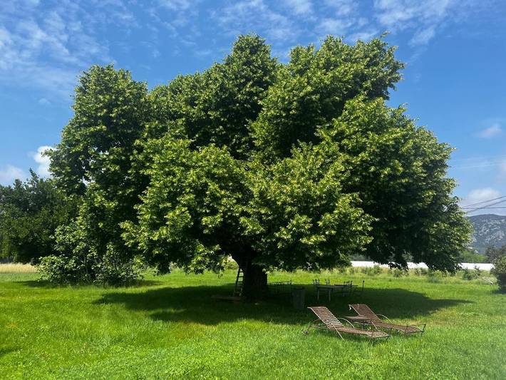 Maison d’hôte pour 2 personnes, avec Terrasse ainsi que Jardin et Piscine