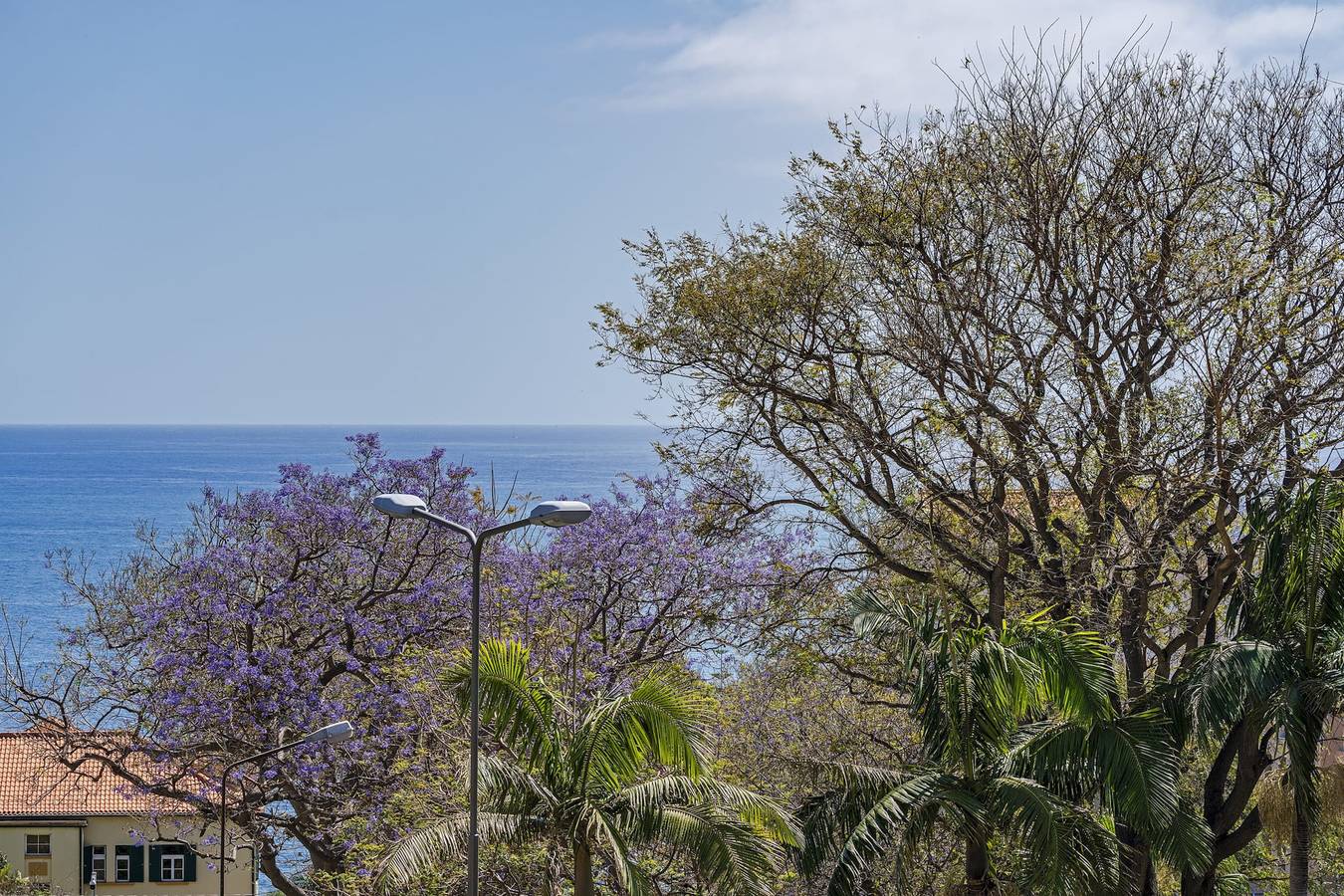 Apartamento entero, Apartamento de vacaciones para 4 personas con balcón in São Martinho, Isla de Madeira