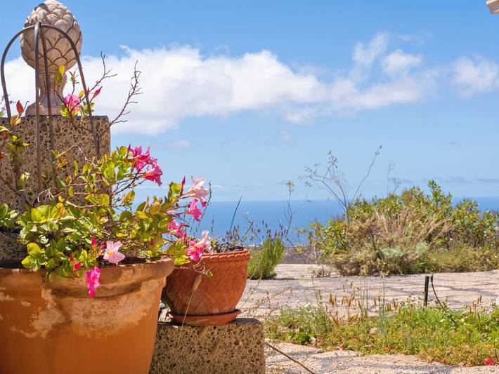 Casa rural para 3 personas, con terraza y jardín, Se admiten mascotas en Arico - 2