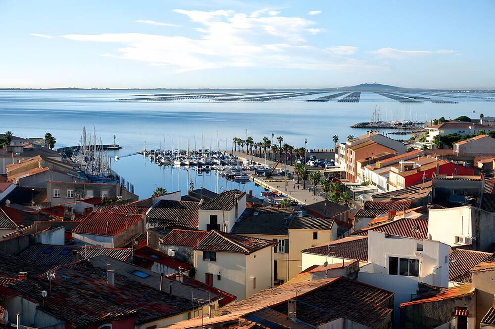 Entire apartment, Apartment with private terrace on the edge of the Thau lagoon in Poussan, Côte d'Améthyste