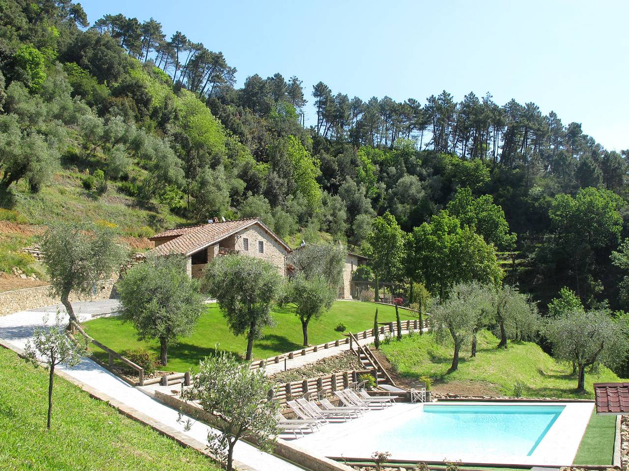  Olivo in Pescaglia, Lucca Province