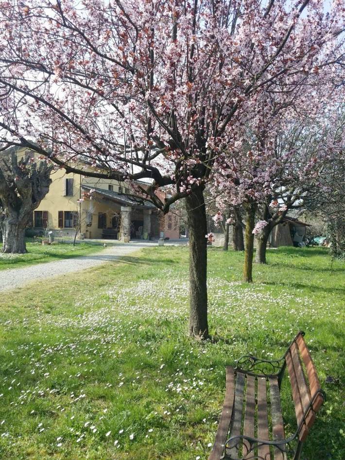 Chambre d’hôte pour 3 personnes, avec vue et jardin, animaux acceptés à Parme - 3
