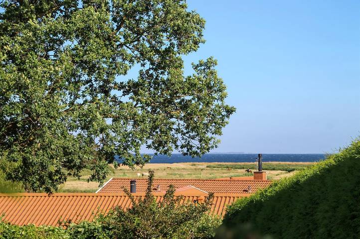 Ferienhaus mit Meerblick für 8 Personen, mit Sauna und Terrasse sowie Garten auf Langeland - 3