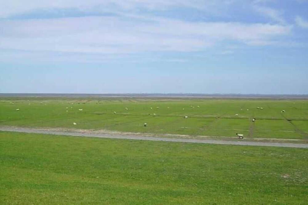 Room 6 Ez - Pension Bed & Breakfast behind the North Sea dike in Friedrichskoog, Friedrichskoog Region