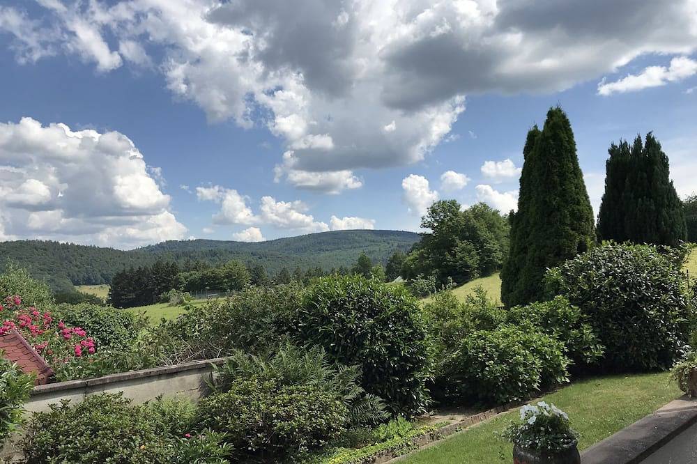 \"The Enchanted Cottage\" is a chic private garden apartment with gorgeous views. in Hirschhorn, Bergstraße