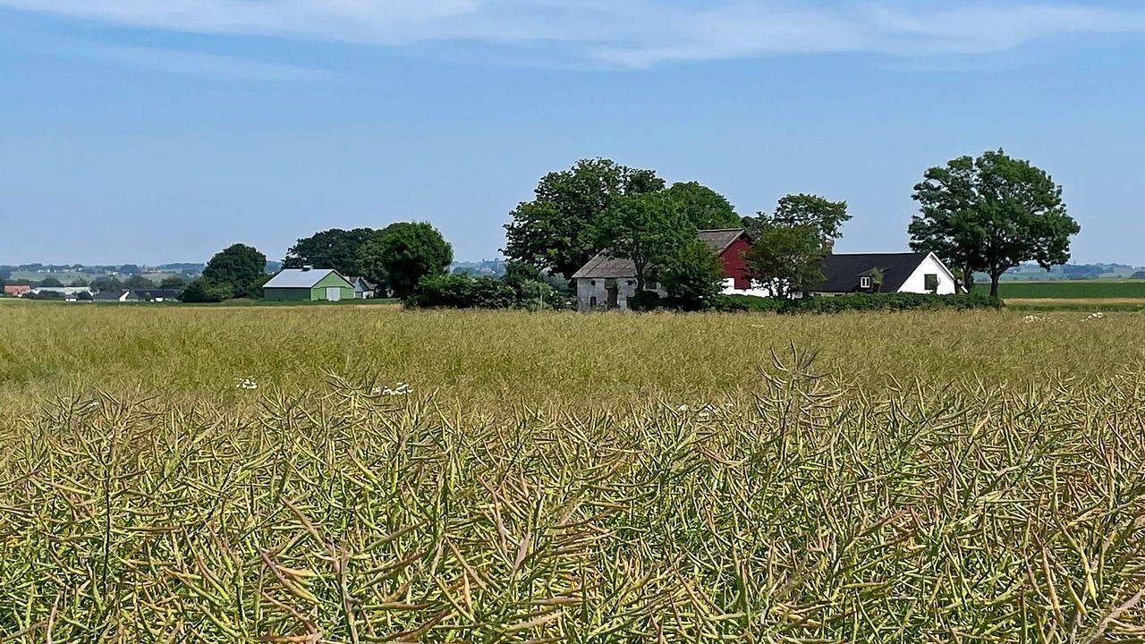 Ferienhaus für 8 Personen (118 m²) in Skivarp in Skurup, Schwedische Ostsee