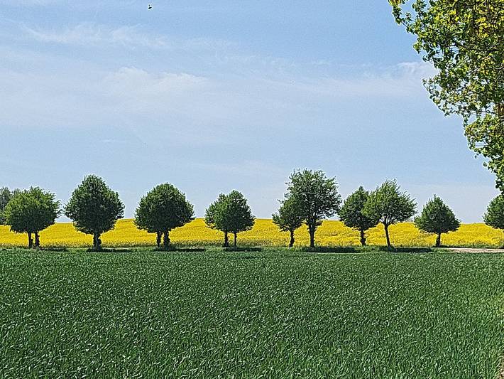 Ferienhaus für 4 Personen, mit Ausblick und Garten sowie Sauna in Bastorf - 3