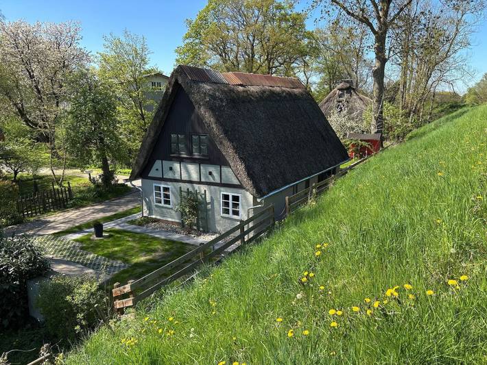 Ferienhaus für 6 Personen, mit Terrasse und Garten in Drochtersen - 2