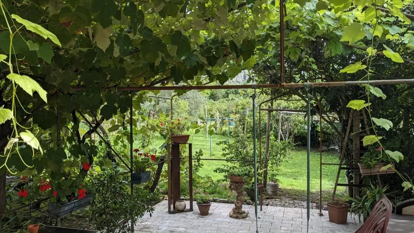 Holiday apartment for 4 people, with garden and view, with pets - 1