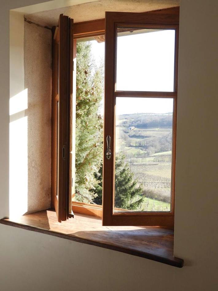 Location de vacances pour 10 personnes, avec jardin ainsi que piscine et vue à Vergisson - 3