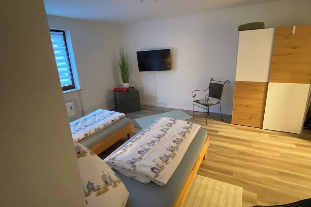 Ganze Wohnung, Neu renovierte Fewo im Zentrum  von Hirschhorn / Neckar direkt am Neckarsteig in Hirschhorn, Bergstraße