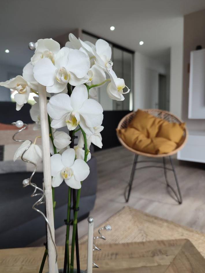 Gîte pour 4 personnes, avec terrasse et jardin, animaux acceptés à Les Loges - 3