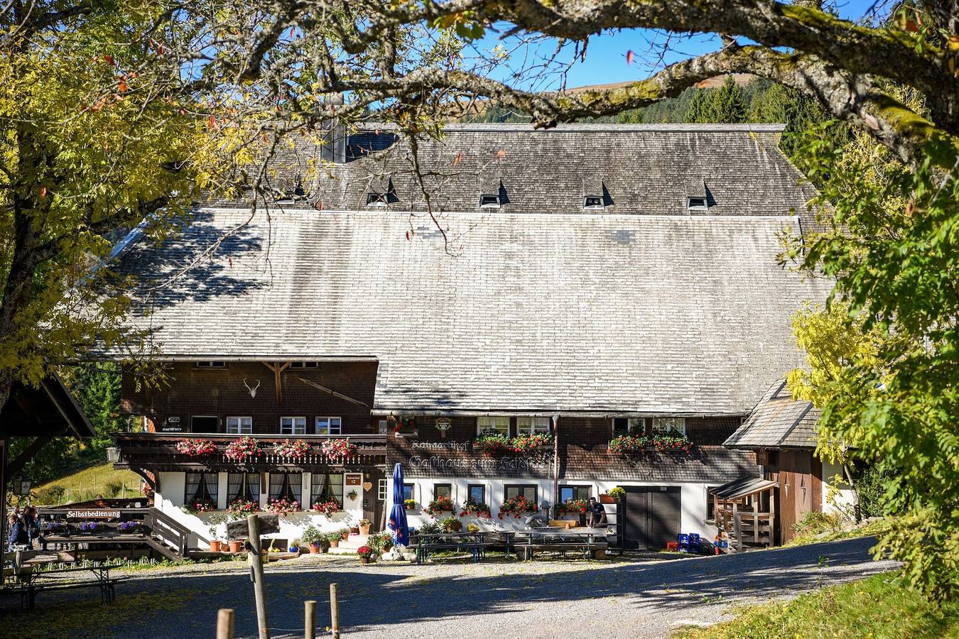 Ganze Wohnung, Ferienwohnung 'Mühle' mit Bergblick und Wi-Fi in Feldberg, Südschwarzwald