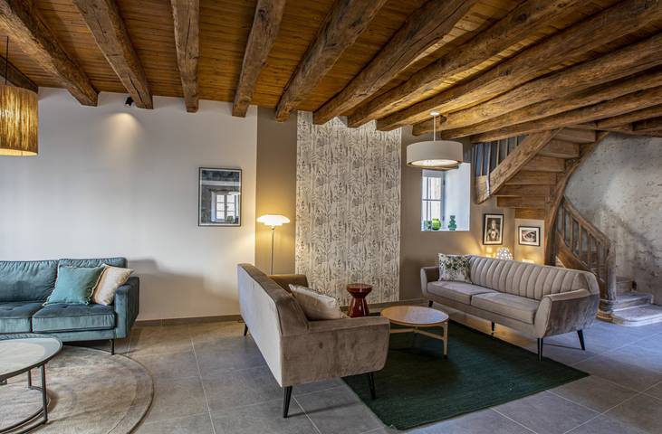 Gîte pour 12 personnes, avec sauna et terrasse à Saint-Dyé-sur-Loire - 2