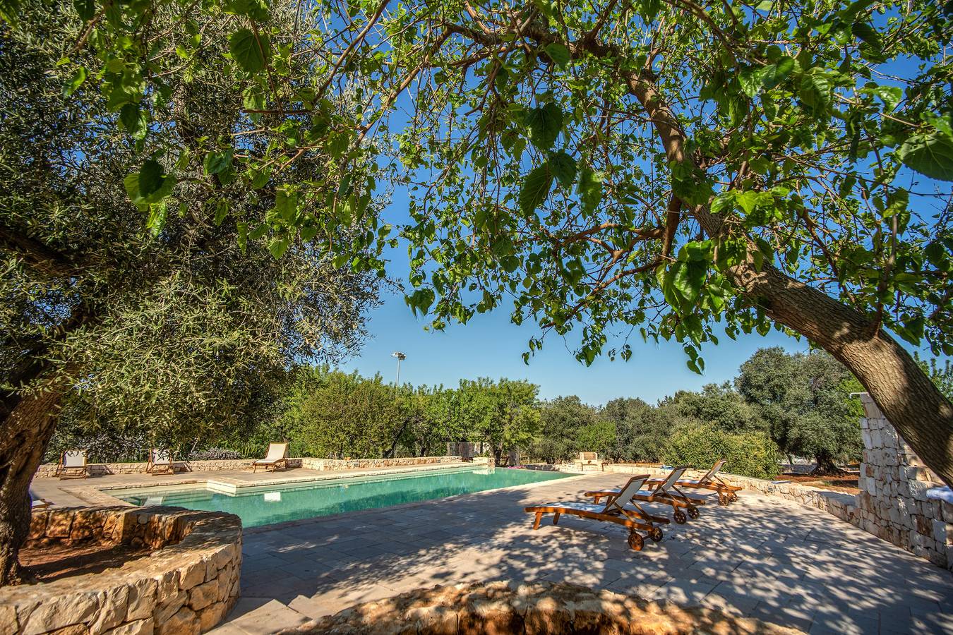 Trullo La Succulenta - Le Case di Valentina in Ceglie Messapica, Salento