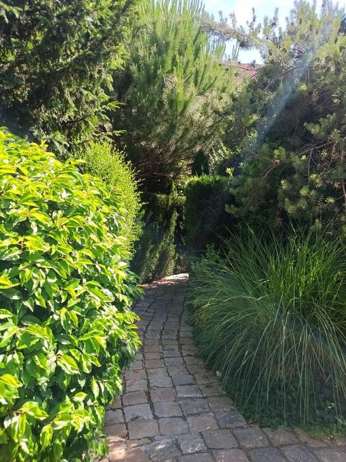 Gîte pour 13 personnes, avec jardin dans Île de France - 3