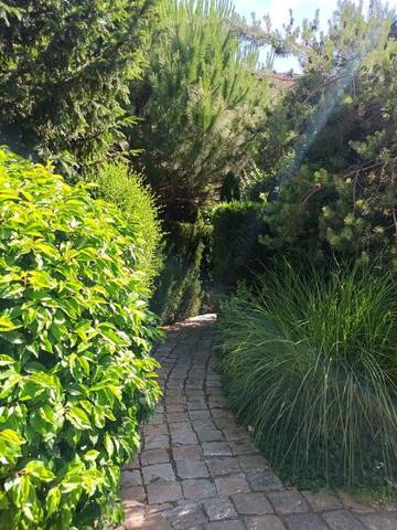 Gîte pour 13 Personnes dans Noisy-sur-École, Seine-et-Marne, Photo 2