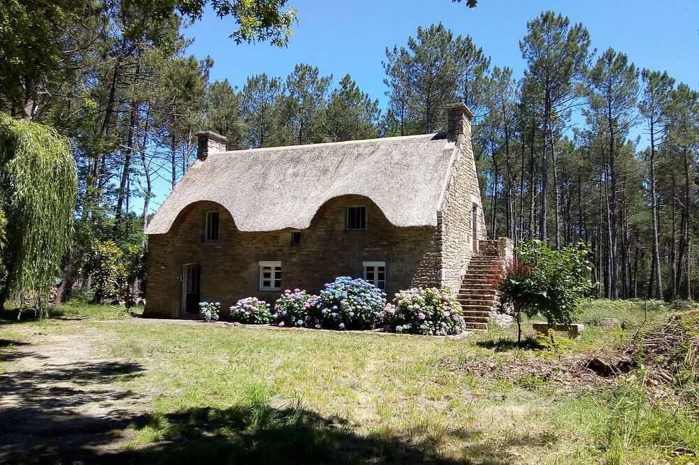 Seasonal rental of a Breton cottage in the heart of the forest in Theix, Côte des Mégalithes