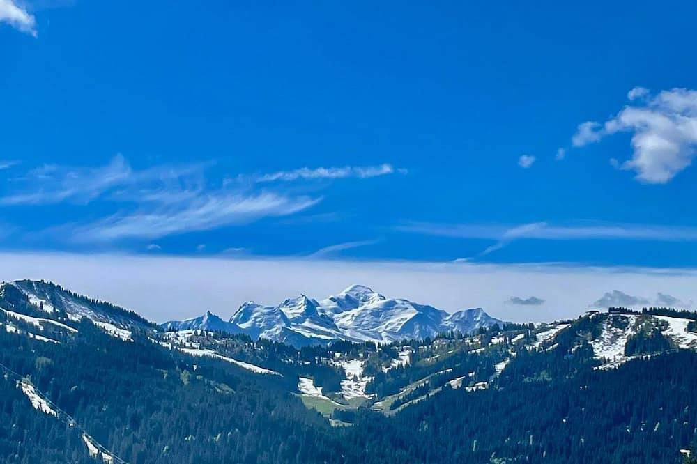Grand chalet luxe skis aux pieds avec Spa + vue exceptionnelle sur le Mont Blanc in Les Gets, Les Portes du Soleil