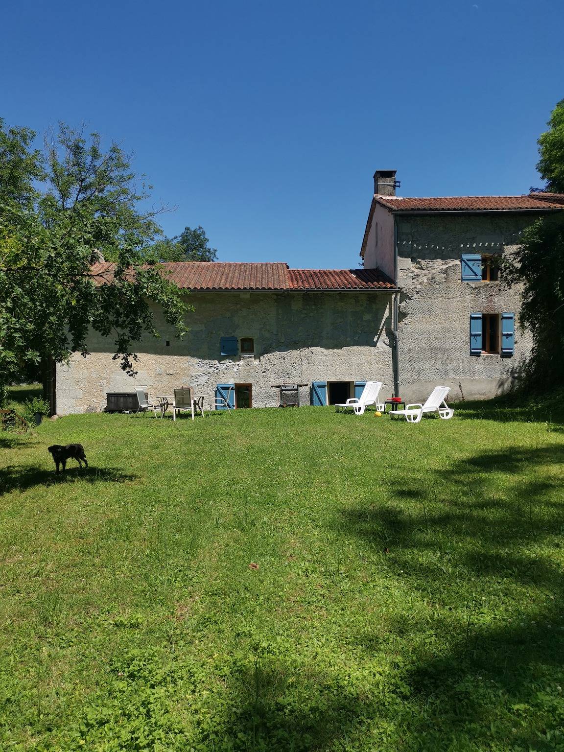 The Walnut tree in Saint-Aulaye, Périgord Vert