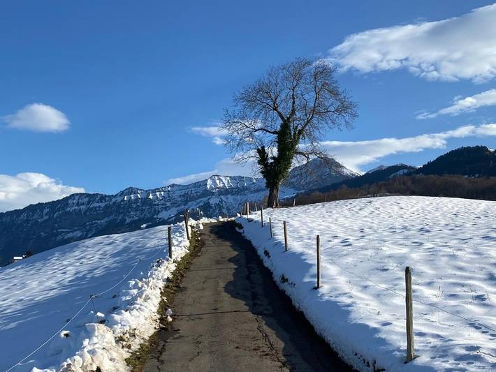 Gîte pour 2 personnes, avec Terrasse et Vue à Spiez - 3