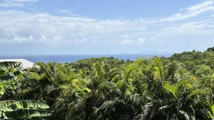 Bungalow pour 5 Personnes dans Grand-Bourg, Antilles, Photo 2