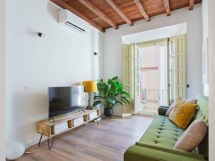 Ferienwohnung für 3 Personen, mit Balkon, mit Haustier in Malaga - 3