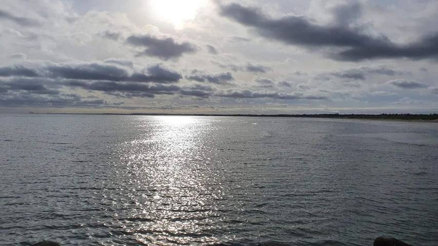 Ferienhaus für 7 Personen, mit Terrasse, mit Haustier in Aalbæk - 4