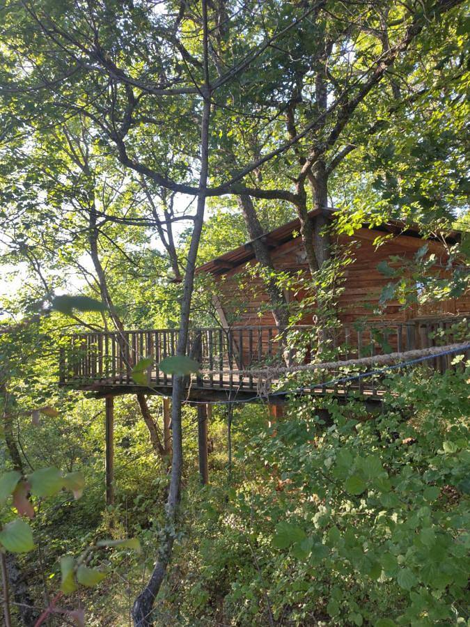 Chalet pour 2 personnes, avec Terrasse et Vue