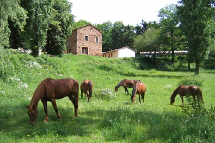 Séjour famille au bord du lac dans un gîte rural en ferme équestre in Mont-Roc, Tarn