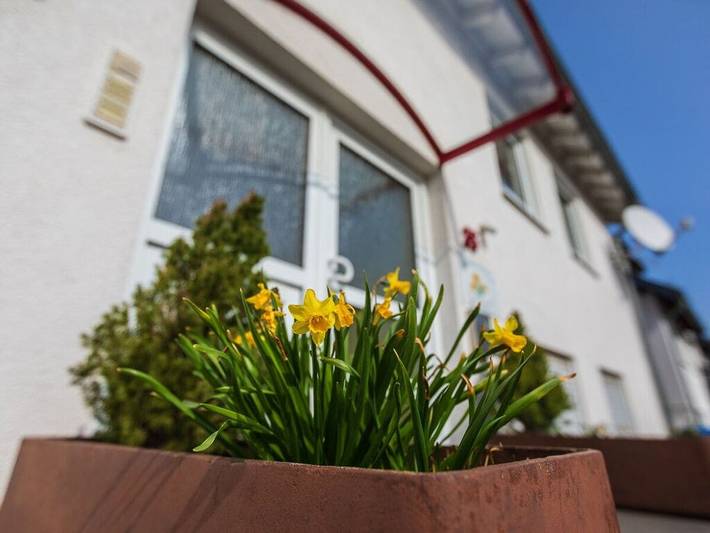 Ferienhaus für 4 Personen, mit Balkon und Garten sowie Ausblick in Cochem - 3