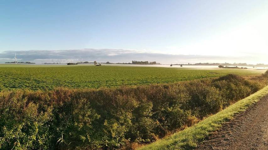 Ferienhaus für 9 Personen, mit Terrasse in Dannemare - 4