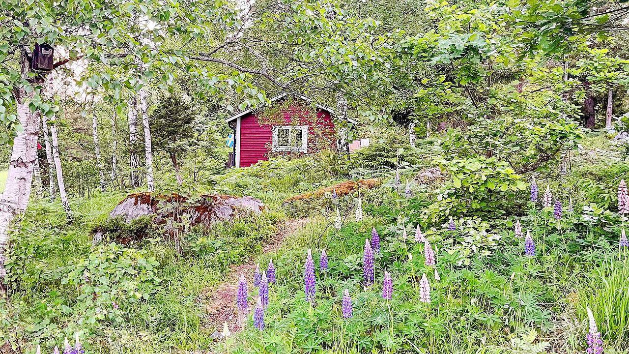 Ferienhaus für 4 Personen (40 m²) in Norrtelge in Schwedische Ostsee